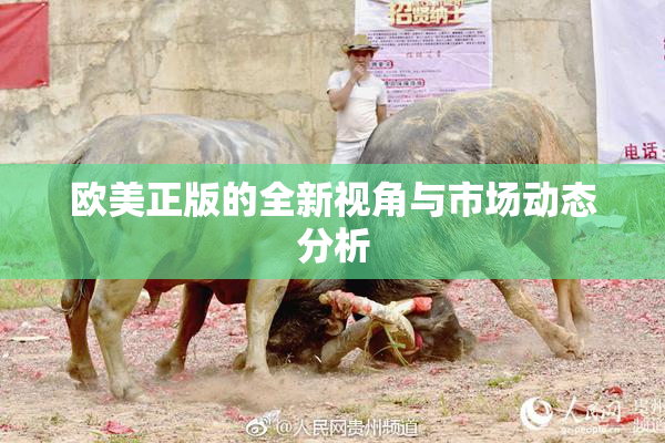 欧美正版的全新视角与市场动态分析