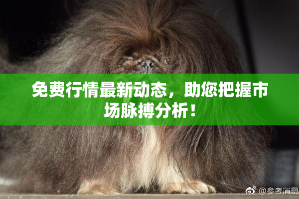 免费行情最新动态，助您把握市场脉搏分析！