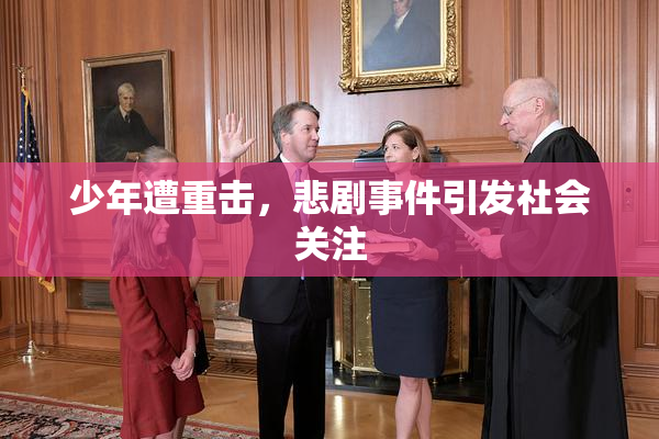 少年遭重击，悲剧事件引发社会关注
