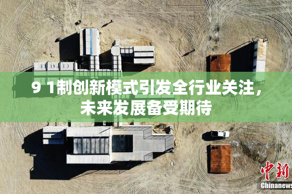 9 1制创新模式引发全行业关注，未来发展备受期待