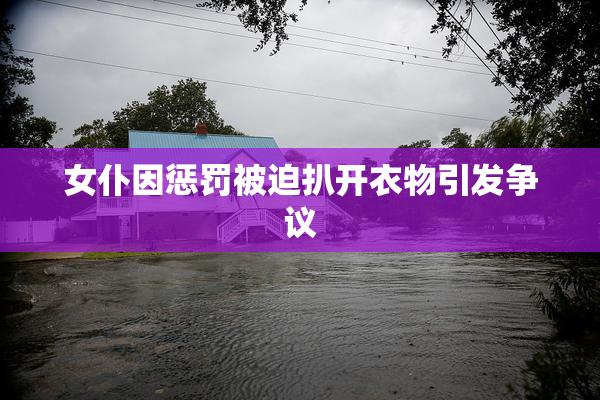 女仆因惩罚被迫扒开衣物引发争议