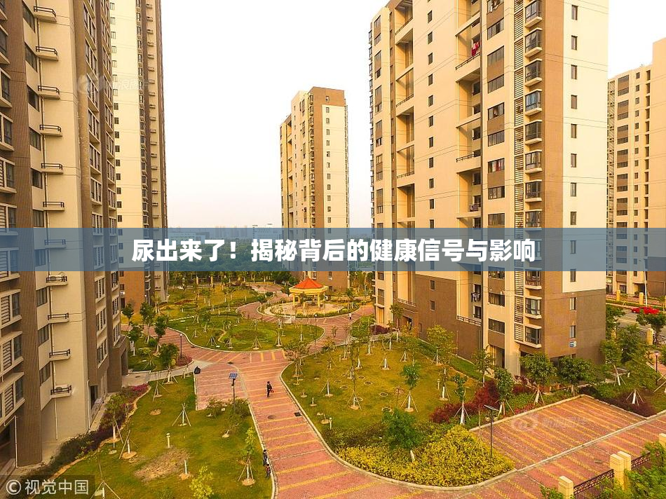 尿出来了！揭秘背后的健康信号与影响