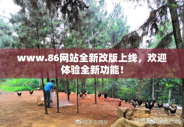 www.86网站全新改版上线，欢迎体验全新功能！