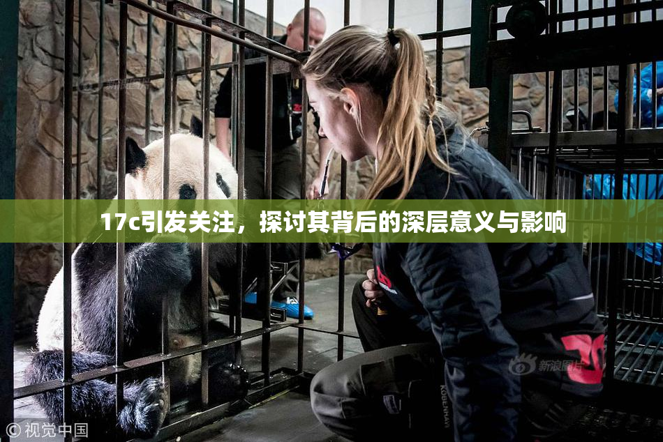 17c引发关注，探讨其背后的深层意义与影响