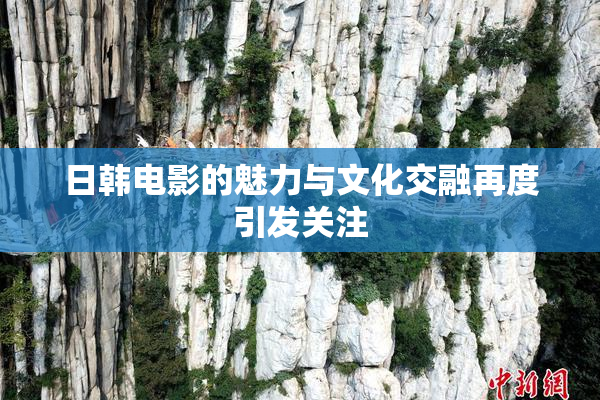 日韩电影的魅力与文化交融再度引发关注