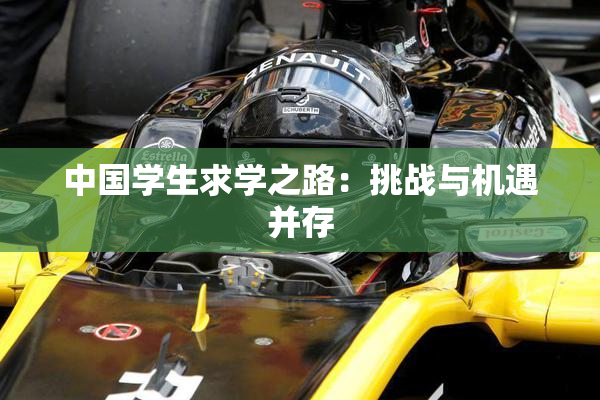 中国学生求学之路：挑战与机遇并存