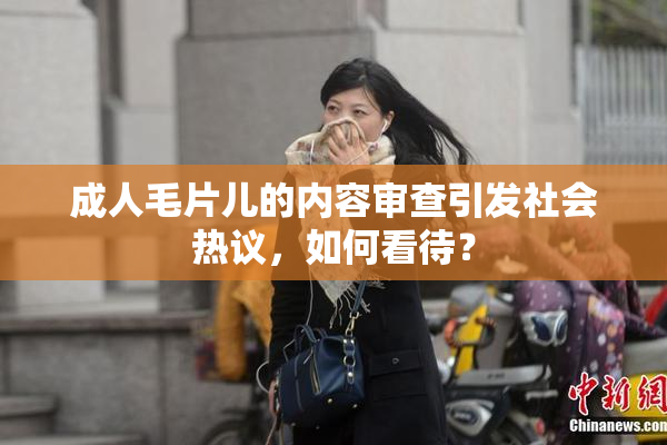 成人毛片儿的内容审查引发社会热议，如何看待？