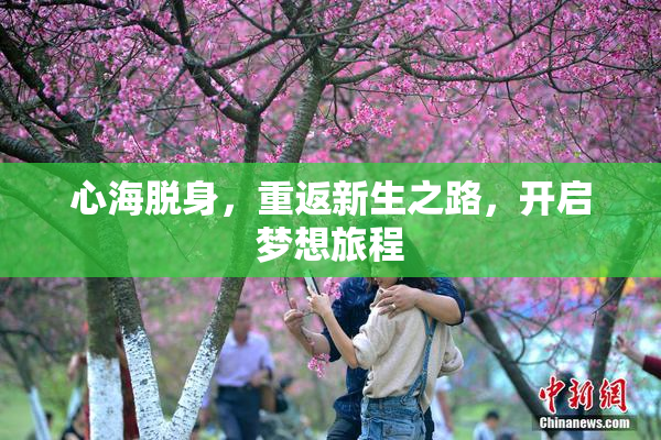 心海脱身，重返新生之路，开启梦想旅程