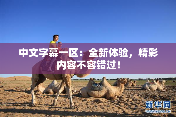 中文字幕一区：全新体验，精彩内容不容错过！
