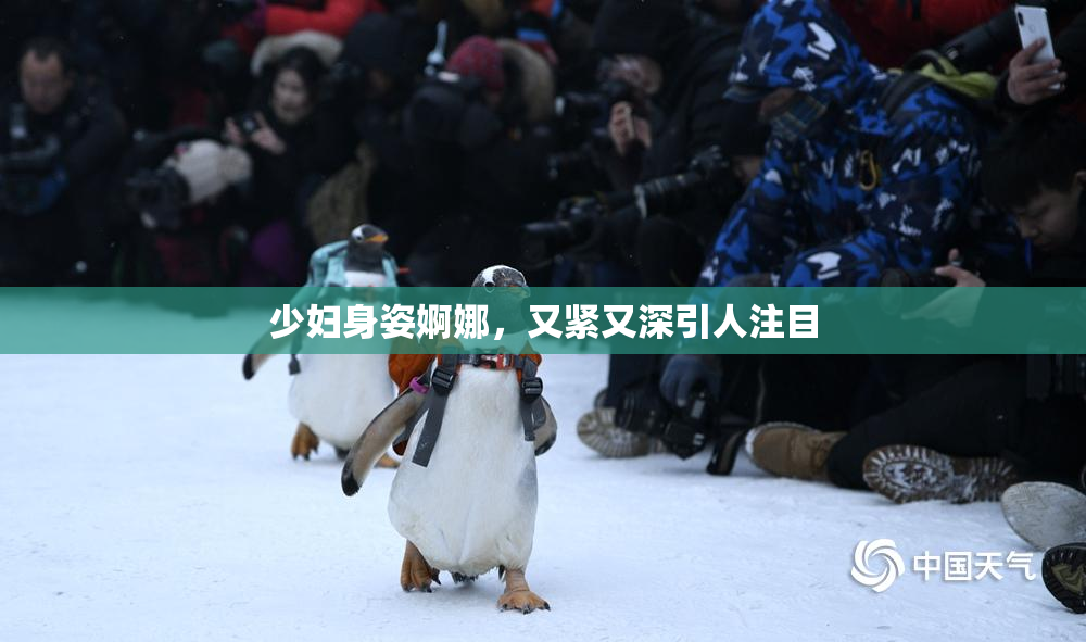 少妇身姿婀娜，又紧又深引人注目