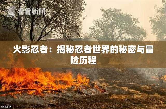 火影忍者：揭秘忍者世界的秘密与冒险历程