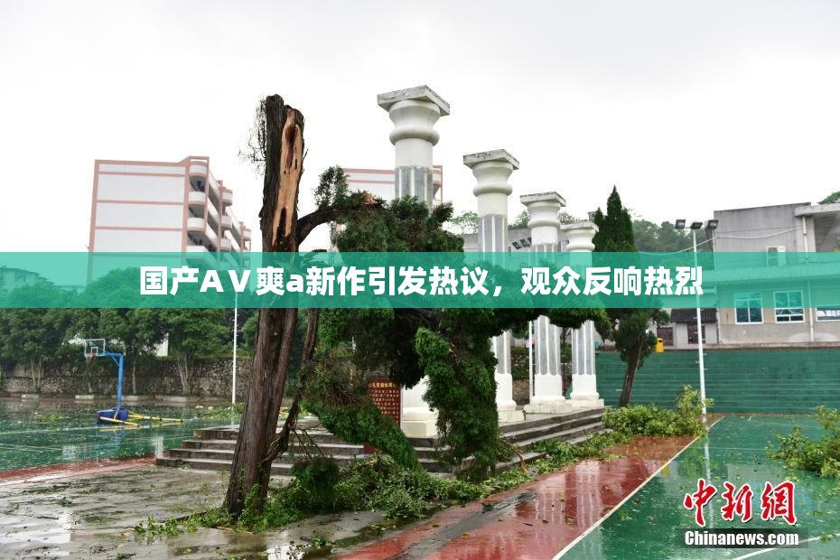 国产AⅤ爽a新作引发热议，观众反响热烈