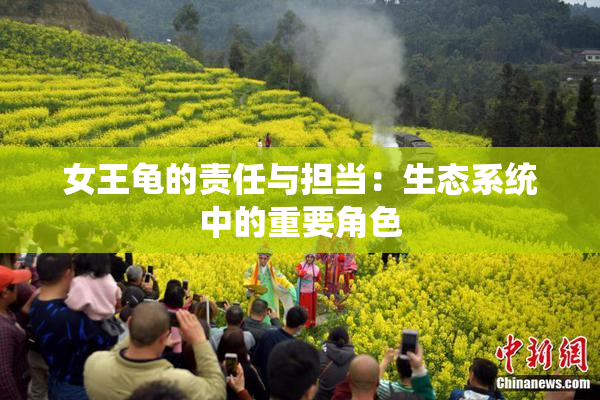 女王龟的责任与担当：生态系统中的重要角色
