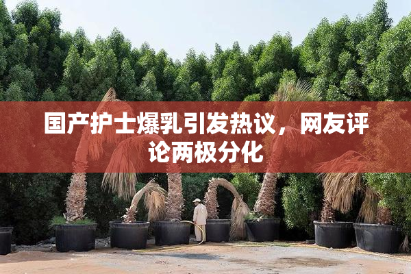 国产护士爆乳引发热议，网友评论两极分化
