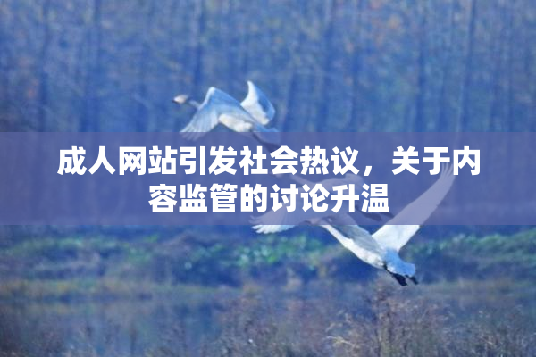 成人网站引发社会热议，关于内容监管的讨论升温