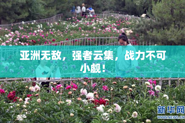 亚洲无敌，强者云集，战力不可小觑！