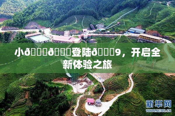 小🐔🐔登陆🍑9，开启全新体验之旅