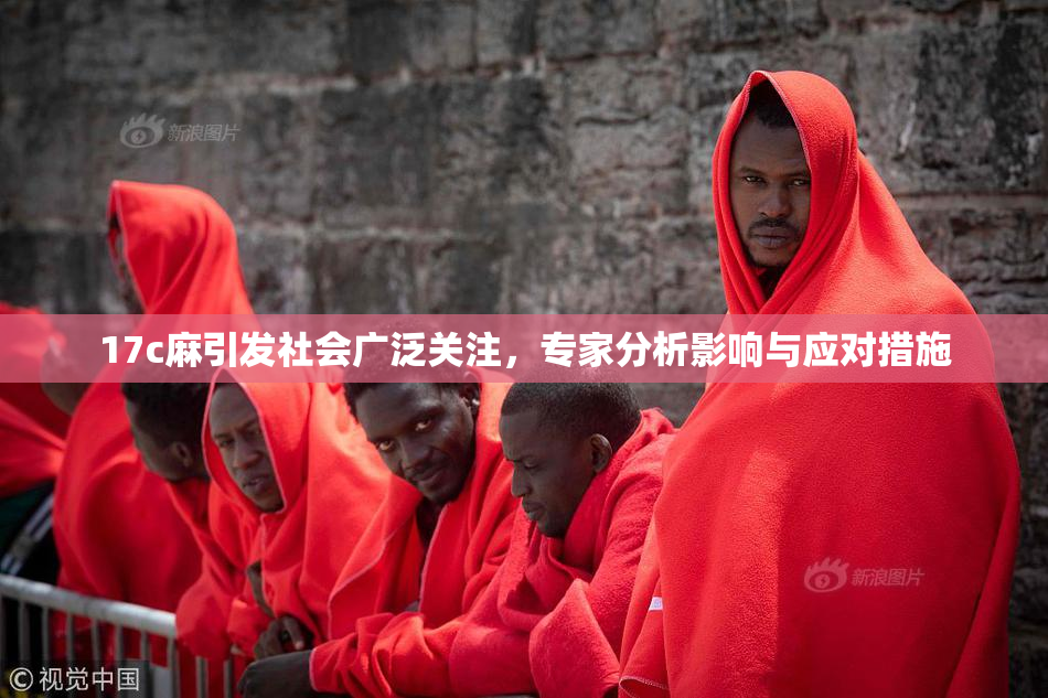 17c麻引发社会广泛关注，专家分析影响与应对措施
