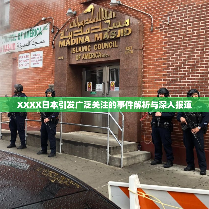 XXXX日本引发广泛关注的事件解析与深入报道