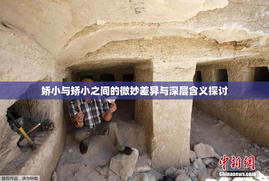 娇小与矫小之间的微妙差异与深层含义探讨