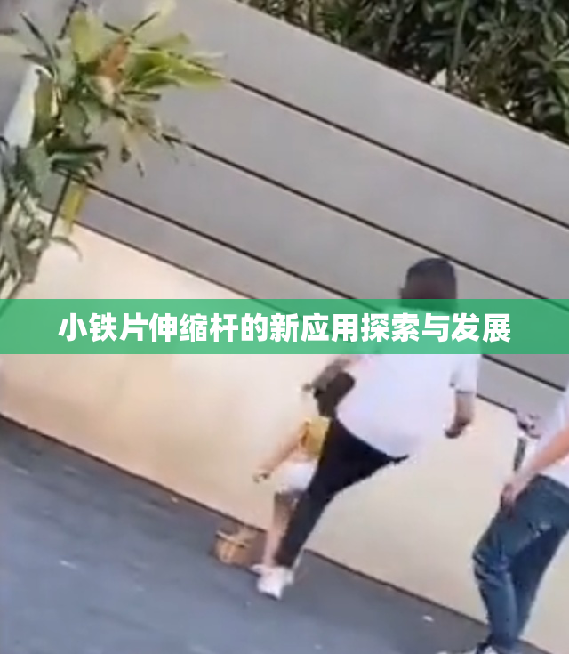 小铁片伸缩杆的新应用探索与发展