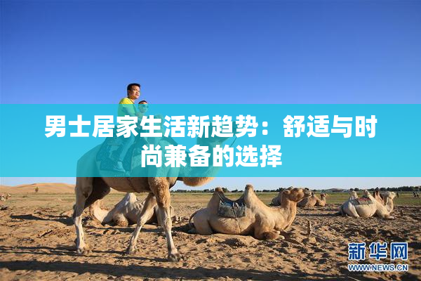 男士居家生活新趋势：舒适与时尚兼备的选择