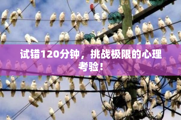 试错120分钟，挑战极限的心理考验！