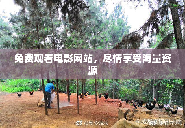 免费观看电影网站，尽情享受海量资源