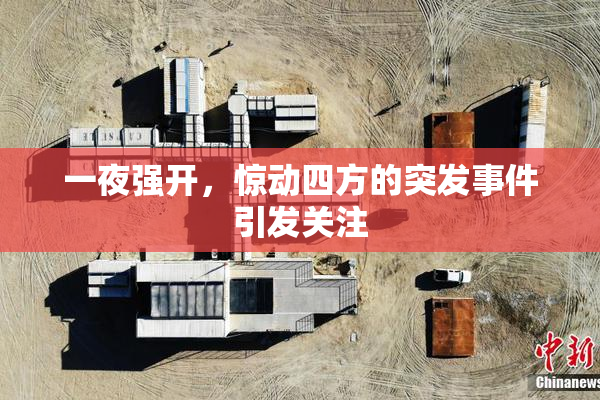 一夜强开，惊动四方的突发事件引发关注