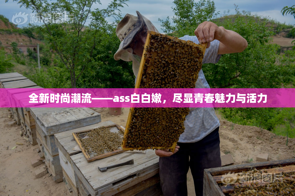 全新时尚潮流——ass白白嫩，尽显青春魅力与活力