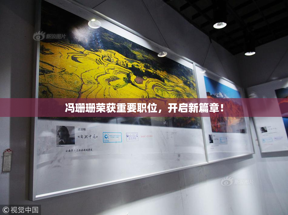 冯珊珊荣获重要职位，开启新篇章！