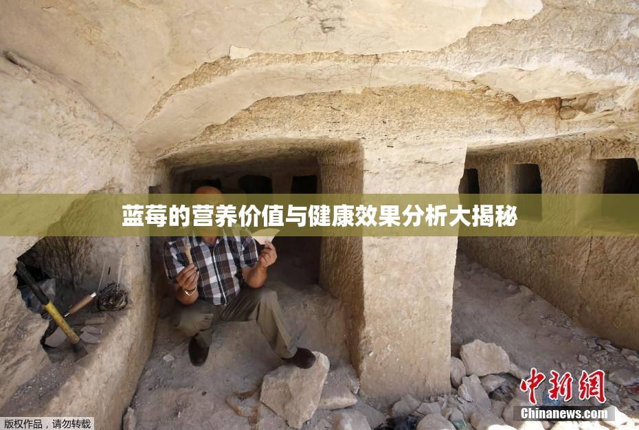 蓝莓的营养价值与健康效果分析大揭秘