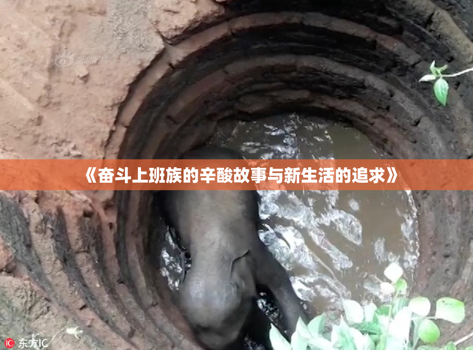 《奋斗上班族的辛酸故事与新生活的追求》