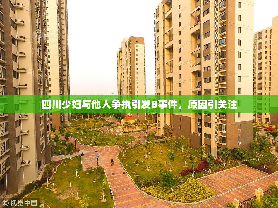四川少妇与他人争执引发B事件，原因引关注