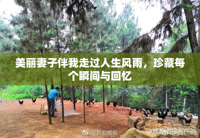 美丽妻子伴我走过人生风雨，珍藏每个瞬间与回忆