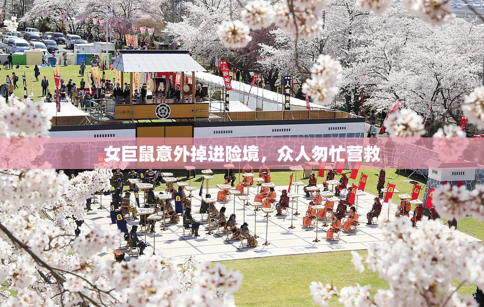 女巨鼠意外掉进险境，众人匆忙营救