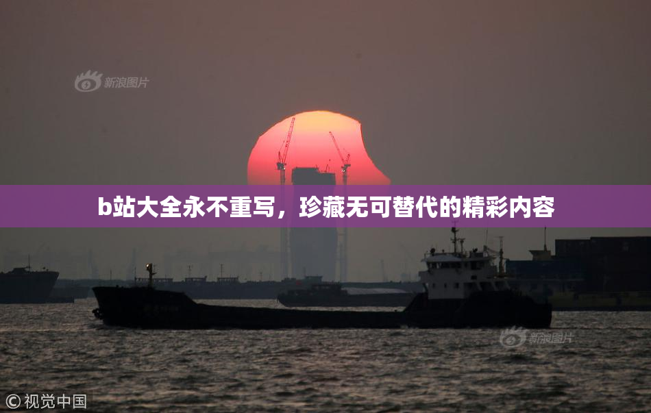 b站大全永不重写，珍藏无可替代的精彩内容