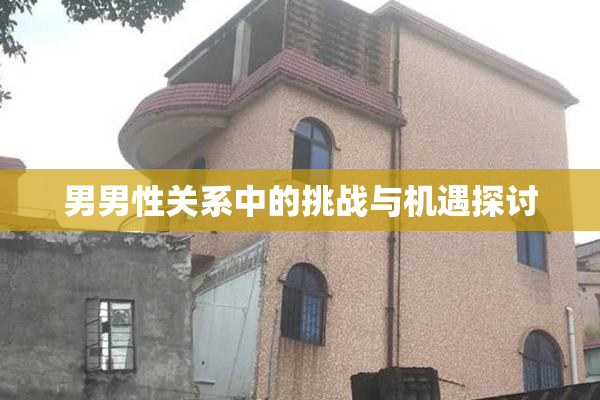 男男性关系中的挑战与机遇探讨