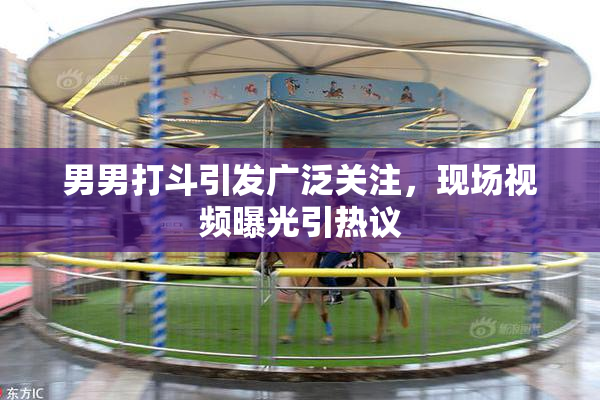 男男打斗引发广泛关注，现场视频曝光引热议