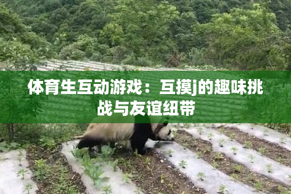 体育生互动游戏：互摸j的趣味挑战与友谊纽带