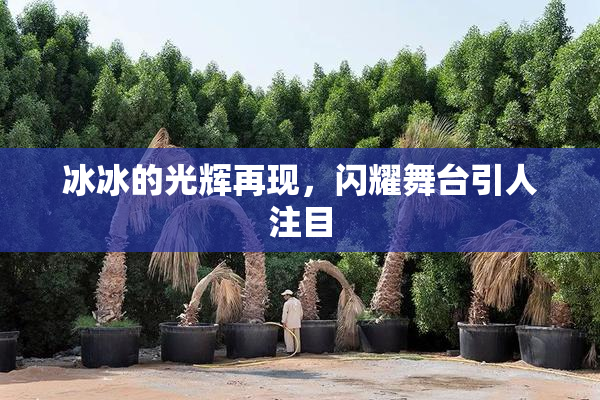 冰冰的光辉再现，闪耀舞台引人注目