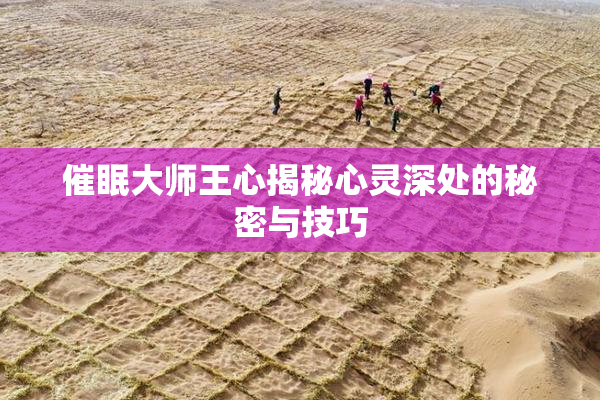 催眠大师王心揭秘心灵深处的秘密与技巧