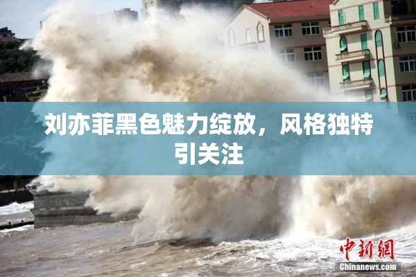 刘亦菲黑色魅力绽放，风格独特引关注