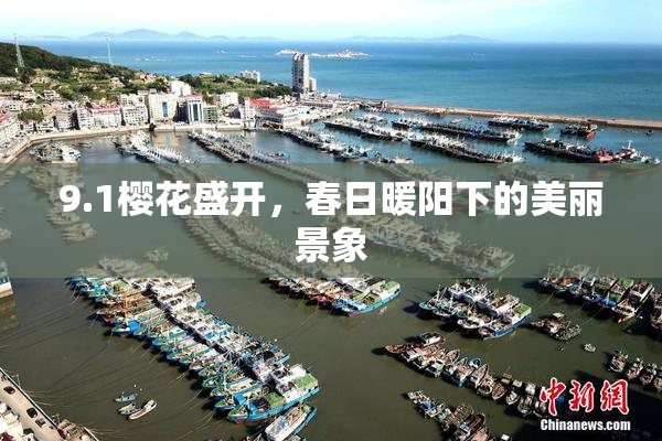 9.1樱花盛开，春日暖阳下的美丽景象