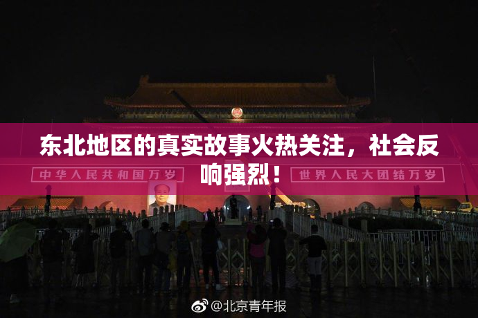 东北地区的真实故事火热关注，社会反响强烈！