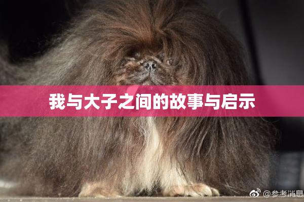 我与大子之间的故事与启示