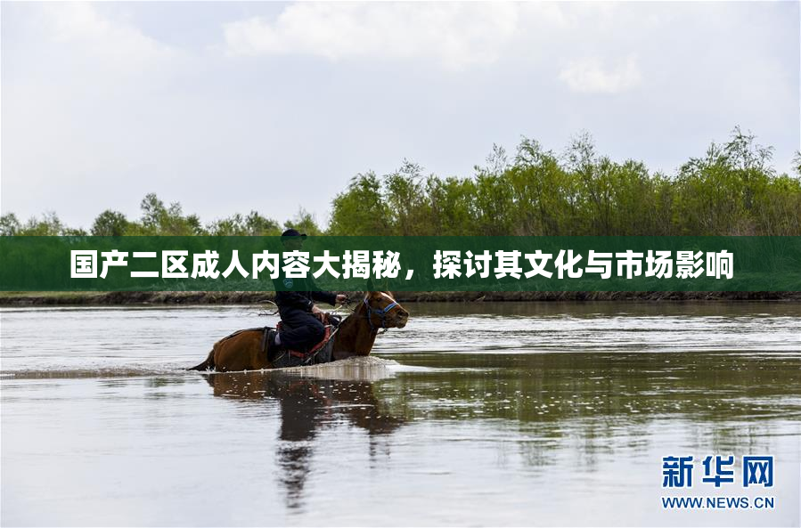 国产二区成人内容大揭秘，探讨其文化与市场影响