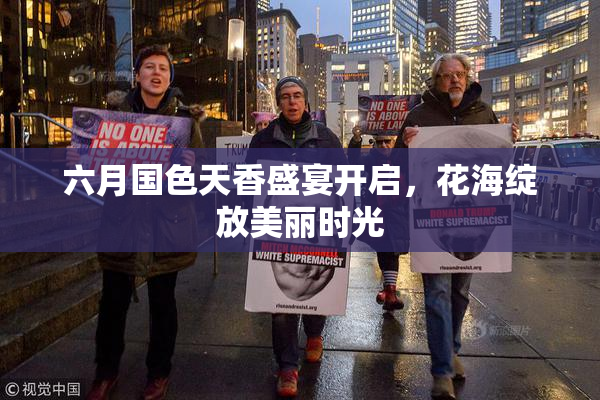 六月国色天香盛宴开启，花海绽放美丽时光