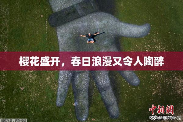 樱花盛开，春日浪漫又令人陶醉