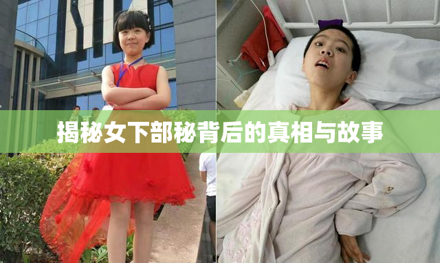 揭秘女下部秘背后的真相与故事